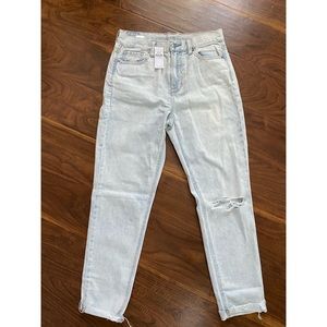 American Eagle Mom Jean